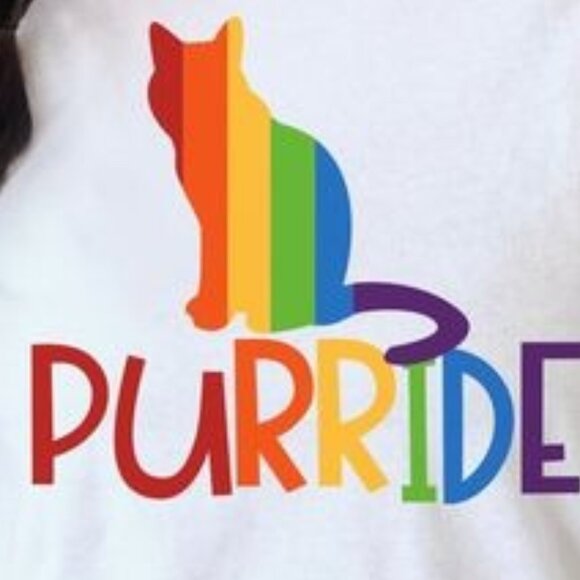 Pride Cat Shirt, Purride Shirt, Pride Shirt For Cat Gift, Gay Pride Cat T-shirt - Picture 2 of 4